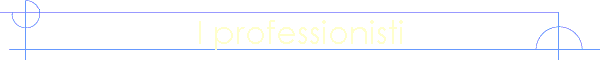 I professionisti